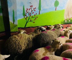 Atalar en ucuz adaklık kurban satış yeri